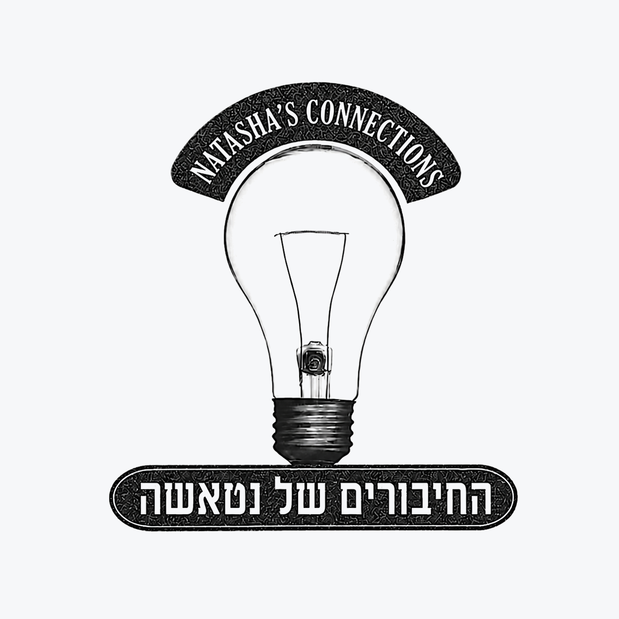 איור התחברות למערכת Priority